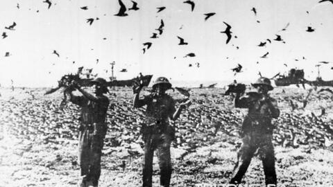 45 năm trước, những ngày tháng 4: Giải phóng quần đảo Trường Sa