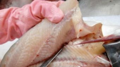 Xuất khẩu thủy sản cả năm 2021 giảm về lượng nhưng tăng giá trị