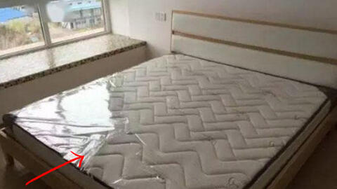 Mua đệm mới về thấy có tấm màng nhựa, nên tháo hay không? Việc đơn giản nhưng vẫn nhiều người không biết