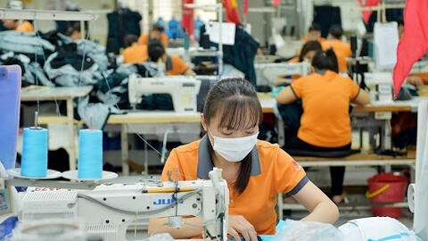 EVFTA chính thức có hiệu lực, nhiều mặt hàng chủ lực của Việt Nam được hưởng lợi