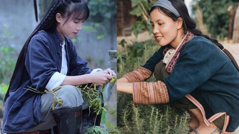 Từ vụ Lý Tử Thất bị nhái ý tưởng: Youtube bất lực trước nạn đạo nhái