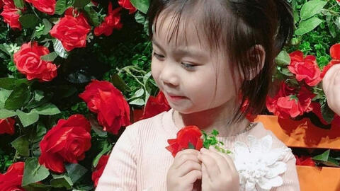 Thanh Hóa dành trên 150 tỷ đồng thực hiện chương trình hành động vì trẻ em