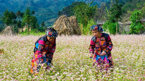 Những điểm du lịch ở Việt Nam bạn phải đến vào mùa Thu