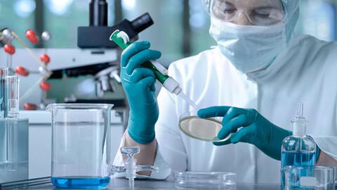 Vẻ đẹp của khoa học