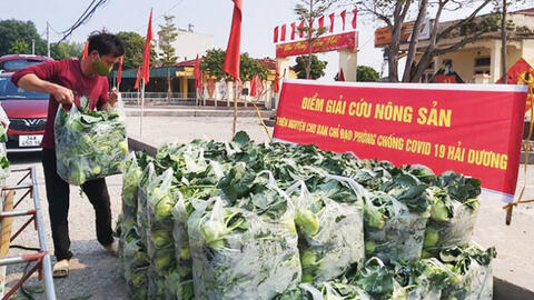 Virus SARS-CoV-2 có lây qua thực phẩm, hàng hóa không?