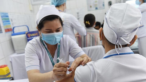 Chuyên gia nói gì việc uống nước ép lá tía tô trước khi tiêm vắc xin Covid-19?