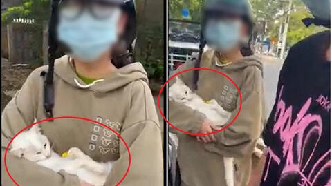 Dịch vụ thú y có phải là thiết yếu trong chỉ thị 16?