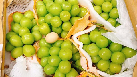 Nho Nhật Bản siêu vip to gấp rưỡi quả trứng gà giá 7 triệu/chùm gây sốt trên thị trường