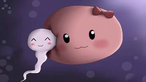 Làm sao để tinh trùng khỏe, dễ thụ thai