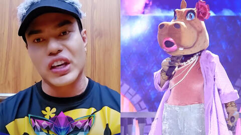 HippoHappy (Ca sĩ mặt nạ) lộ ngay là Lâm Bảo Ngọc qua manh mối với Lê Dương Bảo Lâm?
