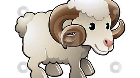 Tử vi công việc thứ 7 ngày 30/11 của 12 con giáp: Sửu làm việc tích cực, Tỵ thận trọng