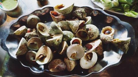 Ốc vú nàng Côn Đảo – Món ăn có tên gợi cảm mà cực ngon