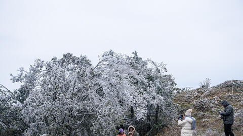 Miền Bắc rét tăng cường, học sinh nhiều nơi phải nghỉ học