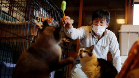 Người đàn ông chăm sóc những sinh vật cuối cùng trong thảm họa hạt nhân tại Fukusima