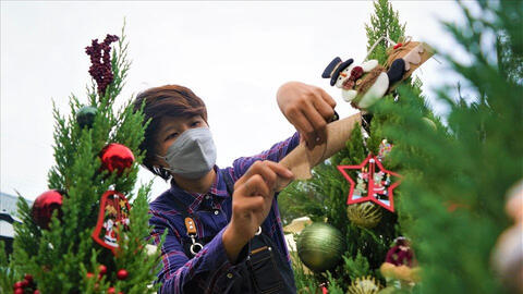 Thị trường mua sắm dịp Giáng sinh trầm lắng, thông tươi nhập khẩu từ Nga hút khách