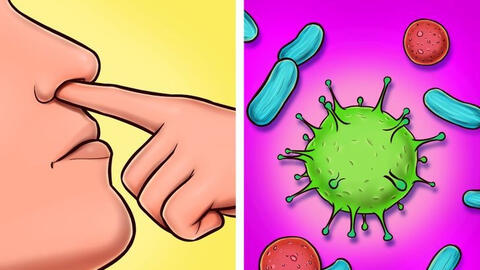 Ngoáy mũi không chỉ khiếm nhã mà còn có thể gây hại cho sức khỏe của bạn