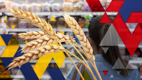 Chúng ta đang trên bờ vực của một cuộc khủng hoảng an ninh lương thực toàn cầu?