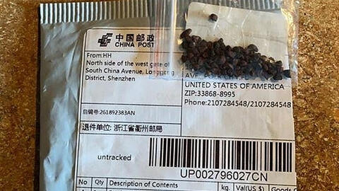 Mỹ phát hiện cỏ dại và ấu trùng bọ trong các gói hạt giống lạ gửi từ Trung Quốc