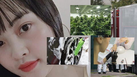 Cảnh sát Scotland truy quét băng nhóm buôn người, giải cứu 10 trẻ em Việt Nam