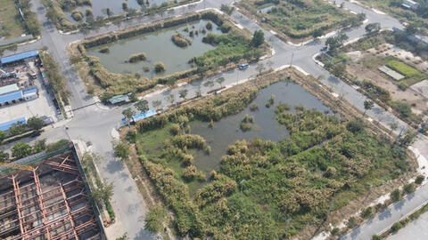 Tân Hoàng Minh vẫn chưa có văn bản chính thức về việc "trả" khu đất trúng đấu giá ở Thủ Thiêm cho TP.HCM