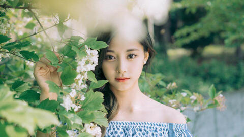 Tử vi 12 con giáp ngày 3/11/2020: Ngọ công việc bất an, Tỵ coi chừng đầu tư thua lỗ