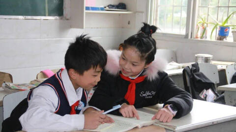 Bài tập sắp xếp từ khiến Giáo sư, Tiến sĩ cũng phải bó tay: Hiệu trưởng đưa ra câu trả lời mà ai nấy bật ngửa