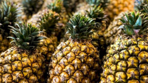 Xuất khẩu rau quả Việt Nam tiếp tục gặp khó vì chính sách 'Zero COVID' của Trung Quốc