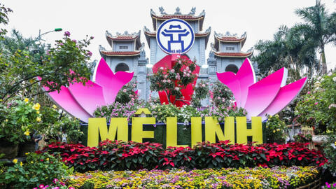 50.000 bông hoa hồng tạo nên lễ hội hoa đặc sắc ở Hà Nội