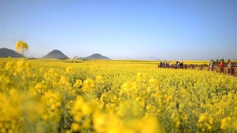 Check-in 3 địa điểm du lịch vào dịp cuối năm đẹp miễn chê