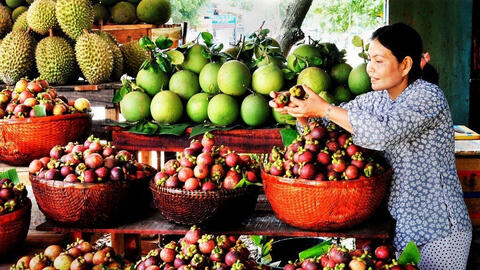 Giá măng cụt tăng mạnh