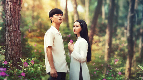 27 phim Việt thất bại doanh thu