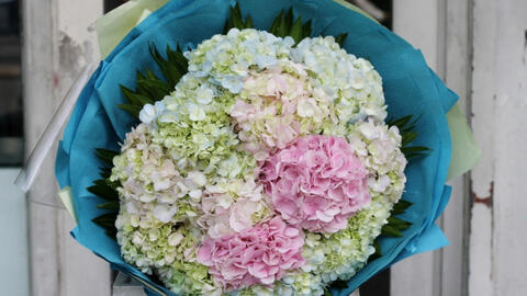 Nhân ngày 20.10, cùng tìm hiểu thông điệp của những loài hoa