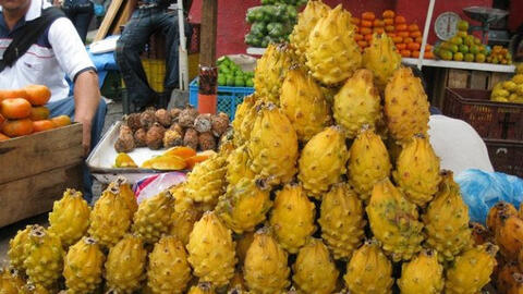 Thanh long vỏ vàng có gai giá 400.000 đồng/kg người tiêu dùng săn mua