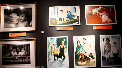 Giới thiệu hơn 300 hiện vật, hình ảnh về nỗi đau da cam ở Việt Nam