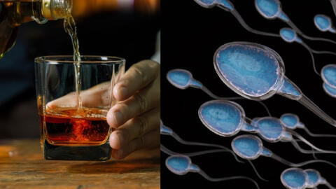 Uống nhiều rượu bia tiêu diệt ‘tinh binh’? Sự thật nam giới cần biết