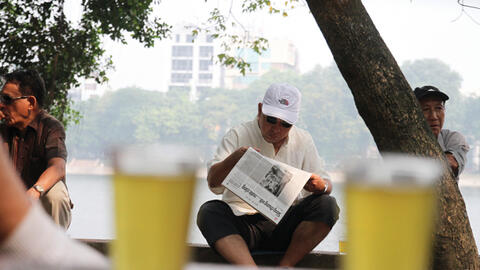 Bụi hồng quán nước