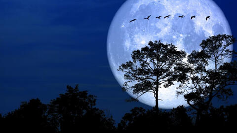 Việt Nam đón siêu trăng lần thứ 2 trong năm 2020