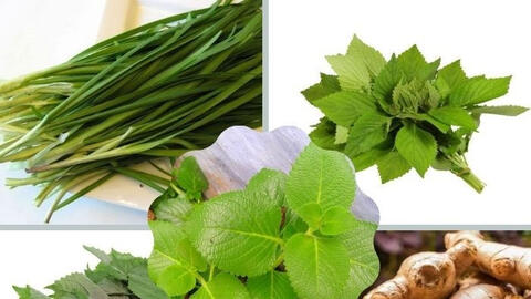 9 bài thuốc từ thiên nhiên có tác dụng tiêu đàm hiệu quả