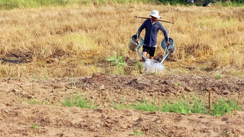 Miền Tây, nước mặn như... nước mắt