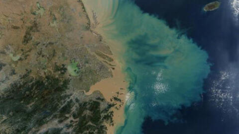 Mỗi giây, đại dương phải hứng chịu... 4 trái bom Hiroshima