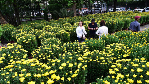 Hoa kiểng Tết tấp nập về Sài Gòn