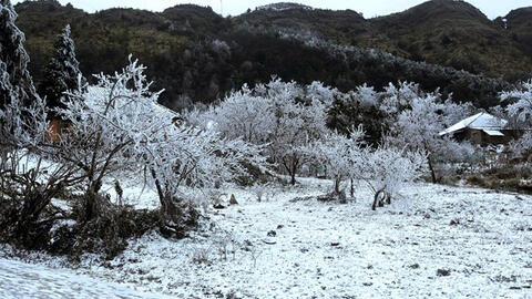 Bắc Bộ rét đậm, rét hại, vùng núi có khả năng xảy ra băng giá