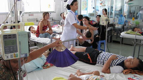 Sốt xuất huyết vẫn hoành hành các tỉnh thành