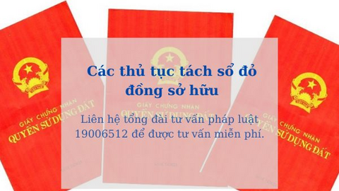 Sang tên sổ đỏ đất đồng sở hữu cần lưu ý gì?