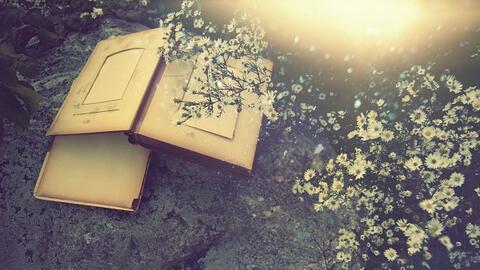 Thư gửi em: Kết nối với bản thân