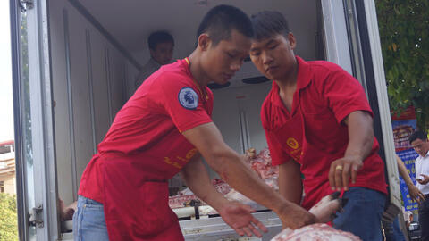 Trung Quốc, Philippines và Việt Nam thiếu thịt heo trầm trọng vì dịch tả heo châu Phi