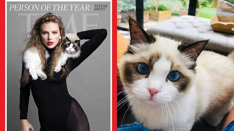 Mèo cưng mắt xanh "quý hơn vàng" của Taylor Swift mới xuất hiện sang trọng trên bìa tạp chí cùng chủ nhân, có giá trị ước tính 2.400 tỷ VNĐ