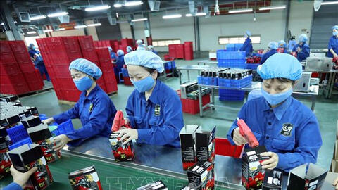 EVFTA - Chất xúc tác cho dư địa tiềm năng của doanh nghiệp Việt Nam