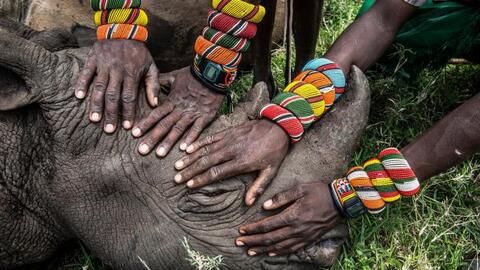 Những tấm ảnh mang thông điệp hy vọng cho năm 2020