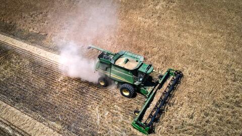 Bị áp thuế nhập khẩu 80,5% lên lúa mạch, Australia kiện Trung Quốc lên WTO